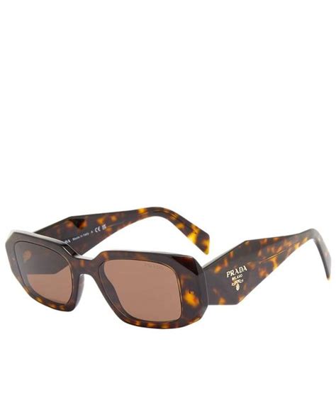 prada sunglasses pr 17ws tortoise|Prada PR 17WS 49 Brown & Tortoise Sunglasses .